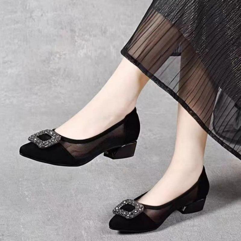 Women Shoes Model - Zarif Sivri Burunlu Fileli Blok Topuklu